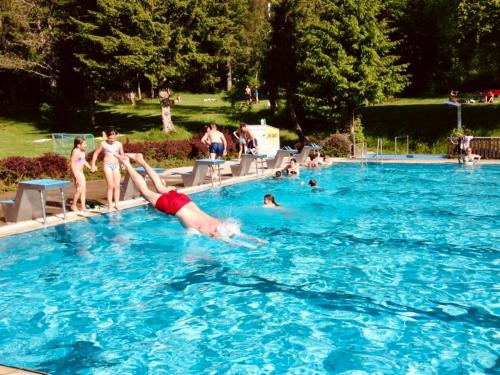a person diving into a swimming pool at Ferienappartement mit Schwimmbad und Alpenblick in Höchenschwand