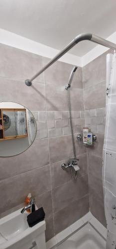 ein Bad mit einer Dusche, einem Waschbecken und einem Spiegel in der Unterkunft Appartement Jasmin 16ème in Paris