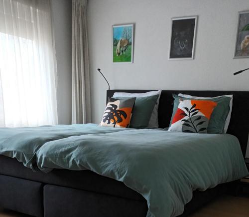 a bedroom with a large bed with colorful pillows at B&B Koningsbosch in Koningsbosch