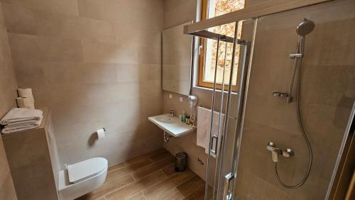 a bathroom with a shower and a toilet and a sink at Apartments D035 & D032 in Aparthotel Vucko, Jahorina-private host in Jahorina