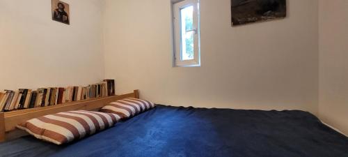 a bedroom with a bed with a book shelf with books at Buglandia in Parośla