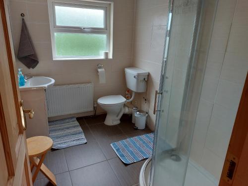 a bathroom with a toilet and a sink and a shower at Riverside Glanworth in Glanworth
