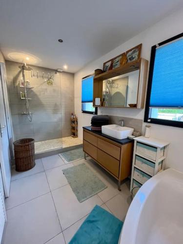 La grande salle de bains est pourvue d'un lavabo et d'une douche. dans l'établissement La maison d’Emma et son jardin tout près de Lille, à Pérenchies