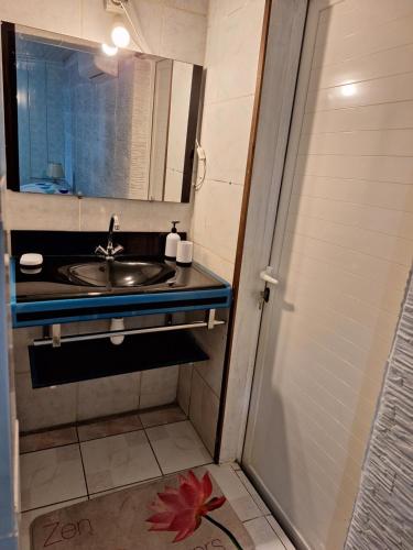 La petite salle de bains est pourvue d'un lavabo et d'un miroir. dans l'établissement Paille en queue, à Saint-Leu