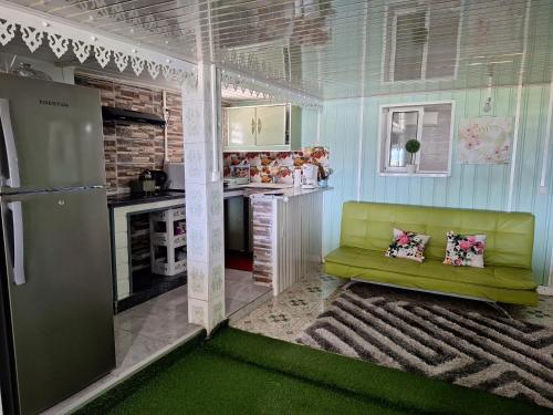 Il comprend un salon avec un canapé vert et une cuisine. dans l'établissement Paille en queue, à Saint-Leu
