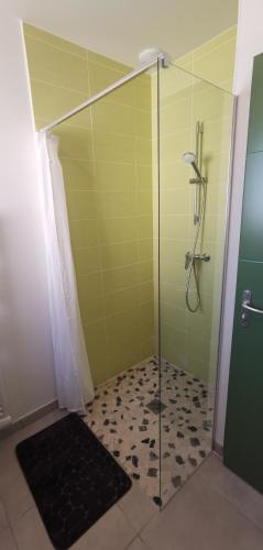 une douche avec une porte vitrée dans une salle de bain dans l'établissement Nouvelle villa Provençale calme, proche du centre, à Montélimar