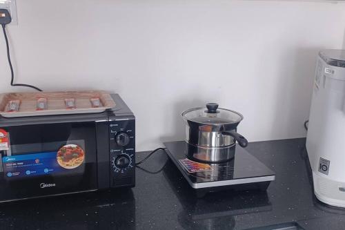a microwave oven with a pot on top of it at Aesthetic Urban Suite With Infinite Pool & Gym in Jelutong