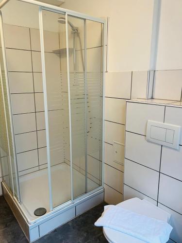 a glass shower in a bathroom with a toilet at Apartments Little Venezia in Bamberg