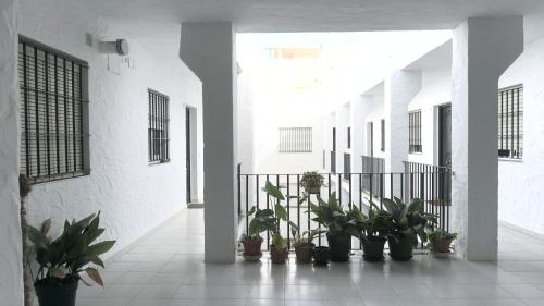 Apartamento Conil playa Bateles