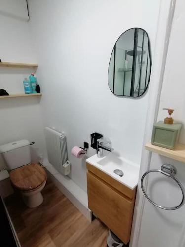 une salle de bain avec toilettes, lavabo et miroir dans l'établissement Appartement 50m² centre-ville, à Dunkerque