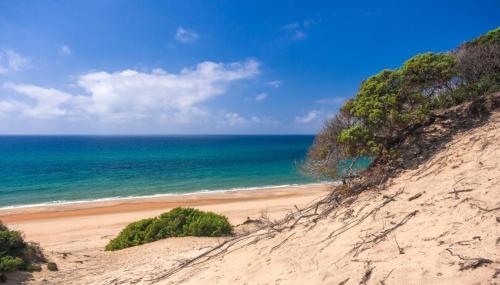 a sandy beach with the ocean in the background at Casa vacanze con terrazza panoramica vista mare in Portu Maga