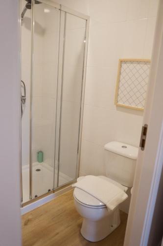 a bathroom with a toilet and a shower at Quinta Das Essências in Penafiel