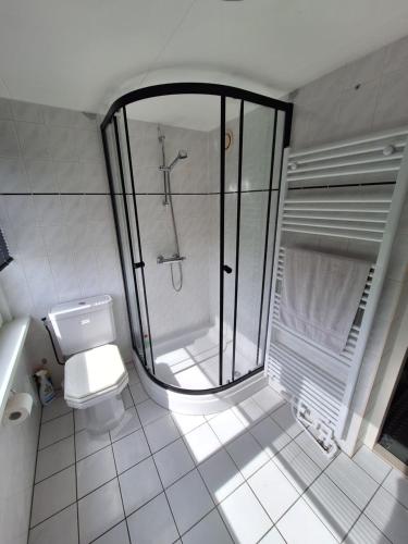 uma casa de banho branca com um chuveiro e um WC. em Vrijstaande vakantie woning em Wolphaartsdijk