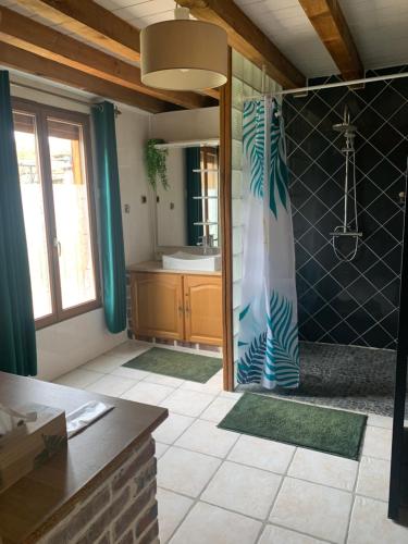 W łazience znajduje się prysznic, umywalka i lustro. w obiekcie chambre salon indépendant, salle de bain wc privés, jardin privé, piscine partagée près d'un lac w mieście Mesnil-Saint-Père