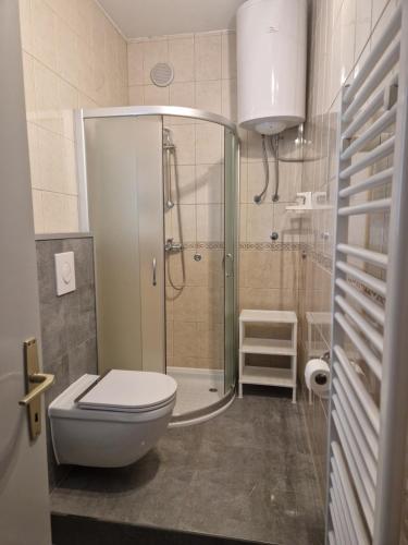 a bathroom with a shower and a toilet in it at Apartment Marica in Brodarica