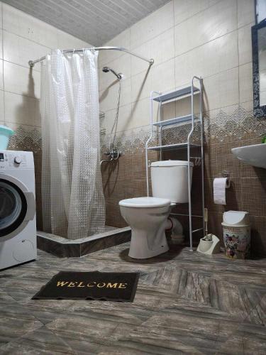 a bathroom with a toilet and a shower and a washing machine at 53 jincharadze street Makhinjauri, Batumi in Batumi
