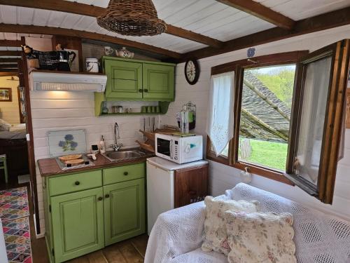 a small kitchen with green cabinets and a sink at Roulotte Fleur des Champs in Sigalens