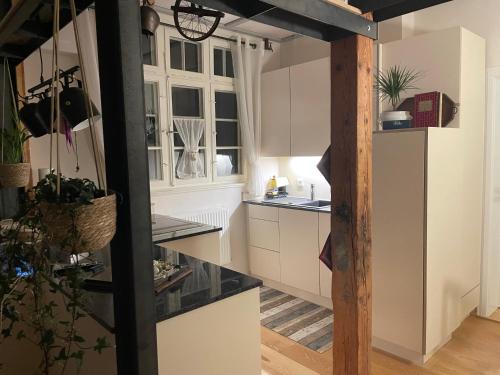 Η κουζίνα ή μικρή κουζίνα στο Ferienwohnung am Stockerbach