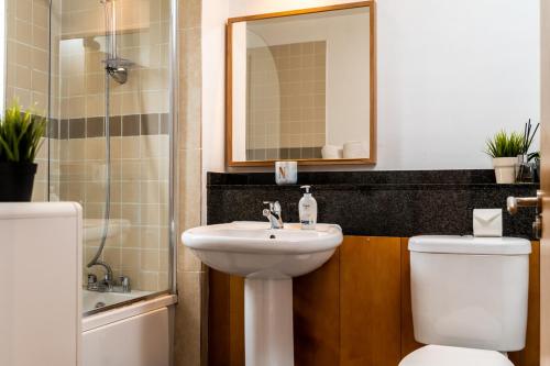 W łazience znajduje się umywalka, toaleta i lustro. w obiekcie Stunning 1 bedroom appartment in Grand Cannal w Dublinie