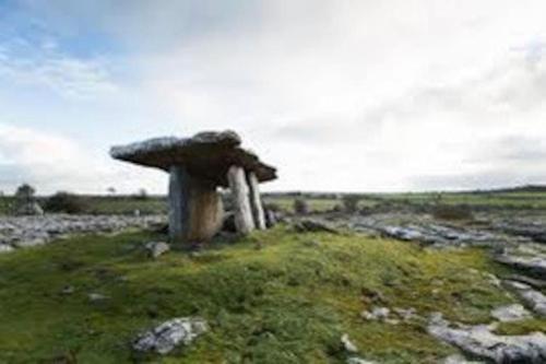 a mushroom sitting on top of a moss covered field at Kilmoon Cottage, Entire home in Lisdoonvarna in Lisdoonvarna