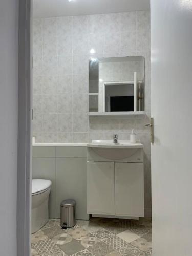 une salle de bain avec un lavabo, des toilettes et un miroir dans l'établissement Logement en bord de Meuse « La Jolie Rose », à Haybes
