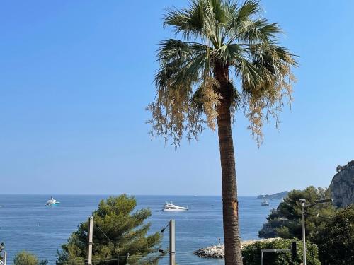a palm tree in front of the ocean with boats at Ezevacances Studio Capuccino vue mer 5 mn plage 7 mn gare Wifi in Èze