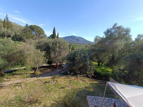 a view of a yard with trees and a tent at Εξοχικό κατάλυμα στο Βιρο Κέρκυρας in Kastanéa