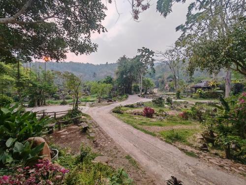 a dirt road in the middle of a forest at ธารทอง ลอดจ์ Tharnthong Lodge in Ban Pang Champi