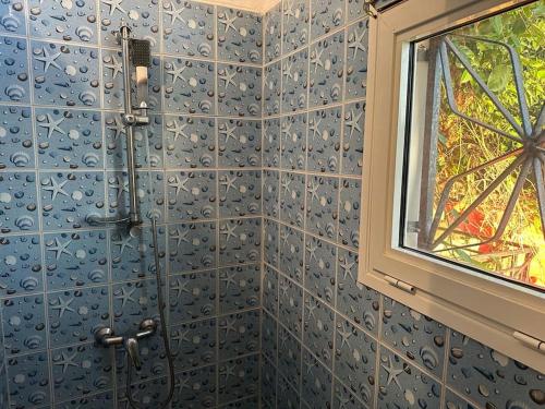 La salle de bains est pourvue de carrelage bleu, d'une douche et d'une fenêtre. dans l'établissement chambre pour voyageur, à Bouéni