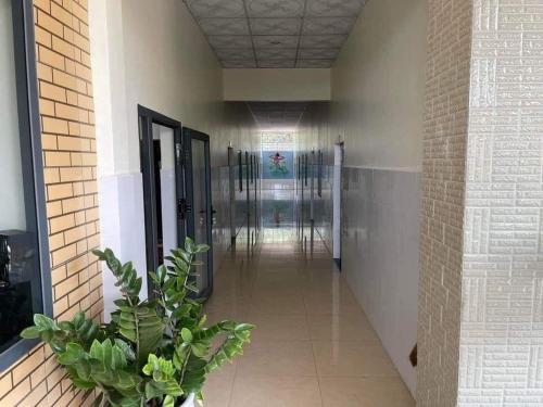 a hallway with doors and a plant in a building at Nhà trọ Hương Nguyên in Dồng Xoài