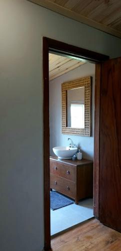 a bathroom with a sink and a mirror at The Wild Olive Sanctuary Accommodation in Paterson