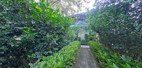 a walkway through a hedge in a garden at Wayanad Royal Stream in Kalpetta