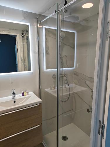une salle de bain avec douche et lavabo dans l'établissement 10 Rue de la Rampe, à Cannes