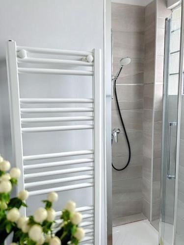 une salle de bain avec une douche avec une porte vitrée dans l'établissement Le Raphaëlle - Compiègne centre, à Compiègne