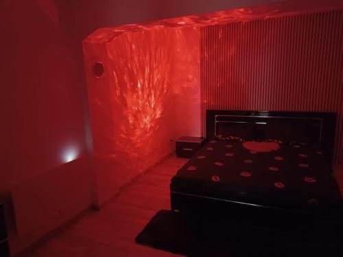 a room with a bed in a red room at Appartement Jacuzzi /billard in Voiron