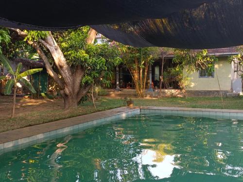 Swimming pool sa o malapit sa Ficus Peace Villa by Mamisa Café