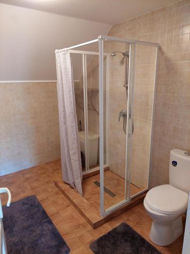 kabina prysznicowa w łazience z toaletą w obiekcie Casa Mario 2 w mieście Oradea
