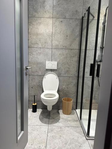 a bathroom with a white toilet in a room at La Victoria in Janske Lazne