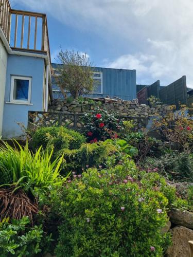 a garden in front of a house with flowers at Marina View in Castletown