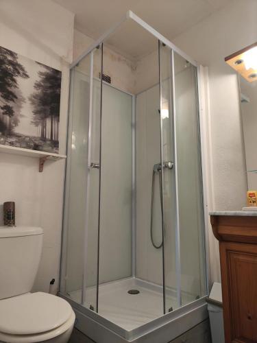 a bathroom with a glass shower with a toilet at T2 plein centre-ville 40m2 in Albertville