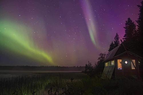 Norsjöにあるthe off grid wilderness cabinsの夜間の野原の小屋の上のオーロラ