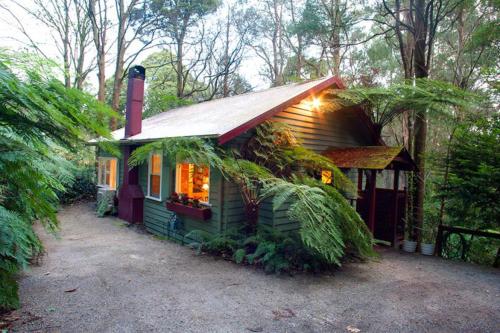 ein kleines grünes Haus mit Pflanzen um es herum in der Unterkunft Cottage in the Forest in Olinda