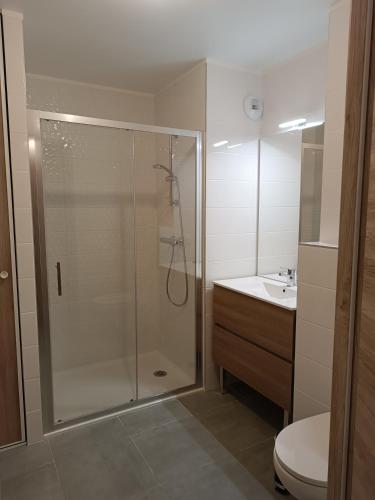a bathroom with a shower and a toilet and a sink at Appartement au coeur de la station in Les Déserts