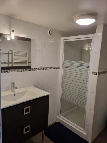 une salle de bain avec un lavabo et une douche dans l'établissement Cité du Desgn avec mezzanine et cour, à Saint-Étienne