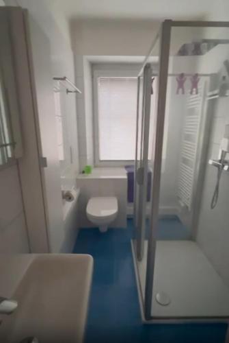 uma pequena casa de banho com WC e lavatório em Eisenerz Alpine Resort RoSy em Eisenerz