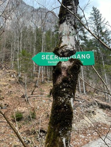 um sinal no lado de uma árvore na floresta em Eisenerz Alpine Resort RoSy em Eisenerz