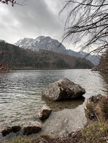 Un grand rocher au milieu d'un lac dans l'établissement Eisenerz Alpine Resort RoSy, à Eisenerz