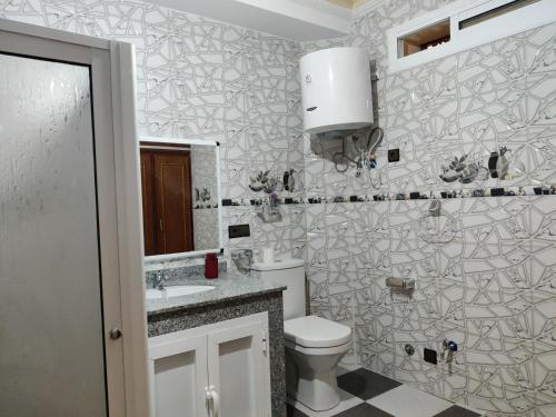 a bathroom with a toilet and a sink at plaza toro Apartment in Tangier