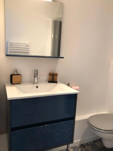 une salle de bain avec un lavabo et un miroir et des toilettes dans l'établissement LE CACTUS - Beau T2 - 10 min du centre à pied et parking facile, à Quimper