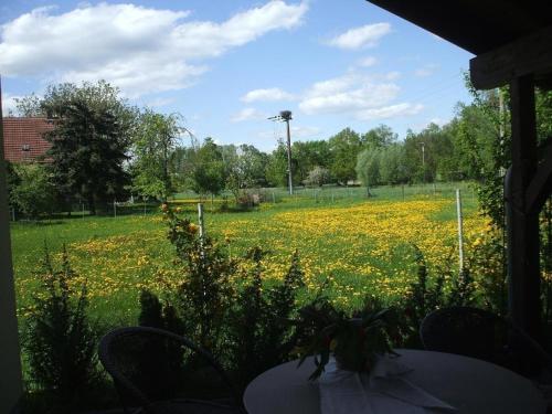 a table with chairs and a field of yellow flowers at Ferienhaus in Kienitz mit Grill, Terrasse und Garten in Letschin